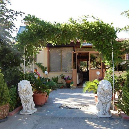 Nightingale Hotel Platres Dış mekan fotoğraf