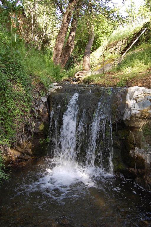 Nightingale Hotel Platres Dış mekan fotoğraf