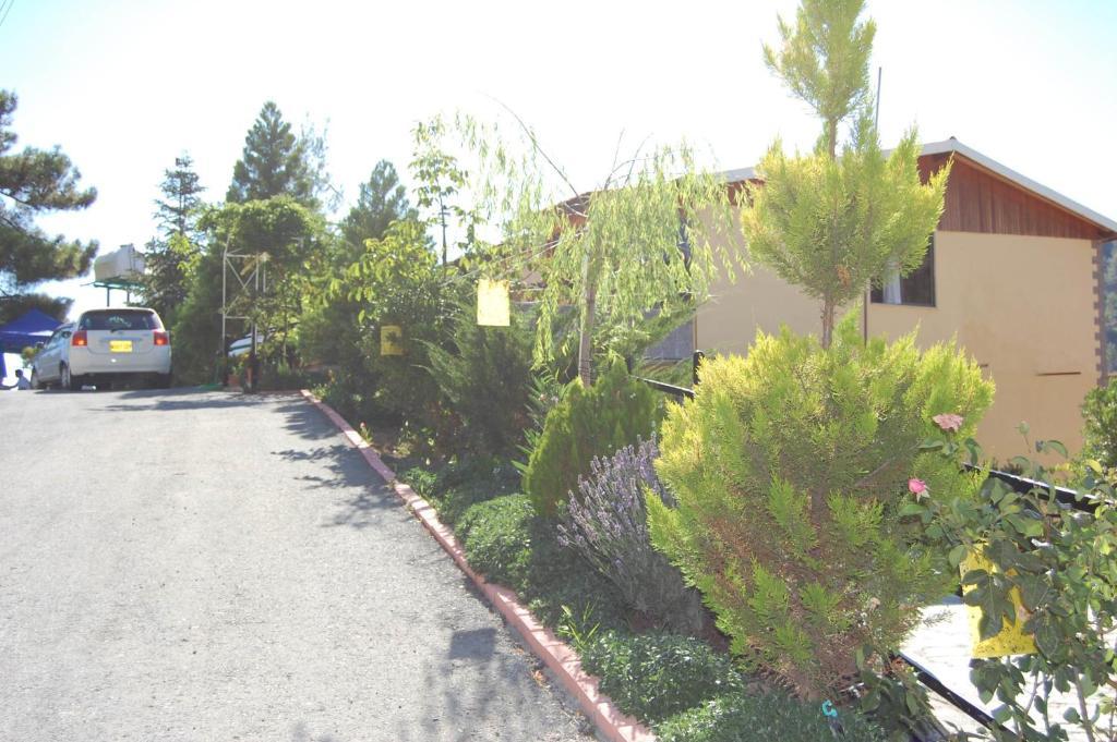 Nightingale Hotel Platres Dış mekan fotoğraf